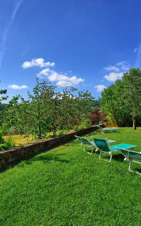 Villa Sarteano: Garden