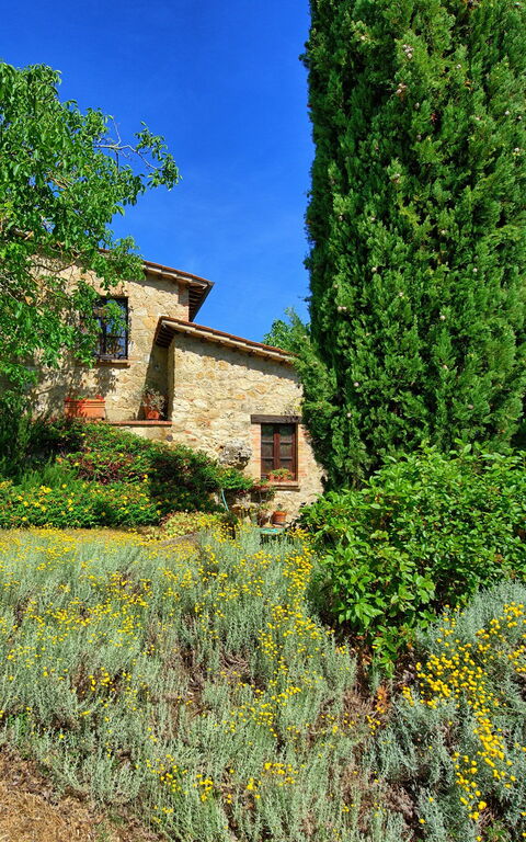 Villa Sarteano: Building Exterior, Garden