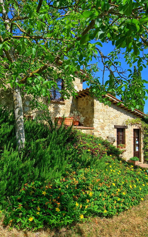 Villa Sarteano: Garden