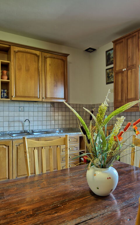 Villa Mario: Kitchen