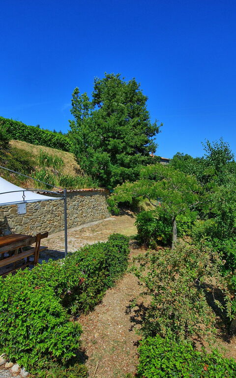 Borgo Veronica: Garden