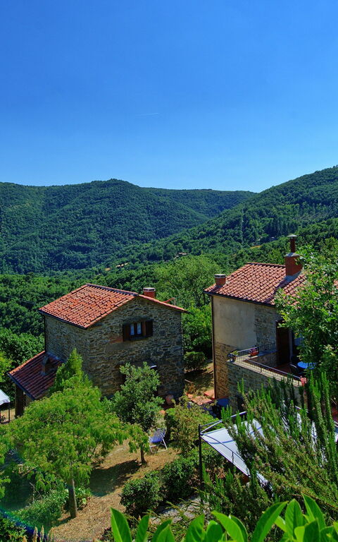 Borgo Veronica: Garden