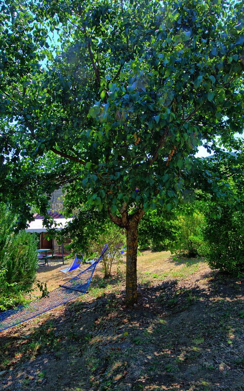 Borgo Veronica: Garden