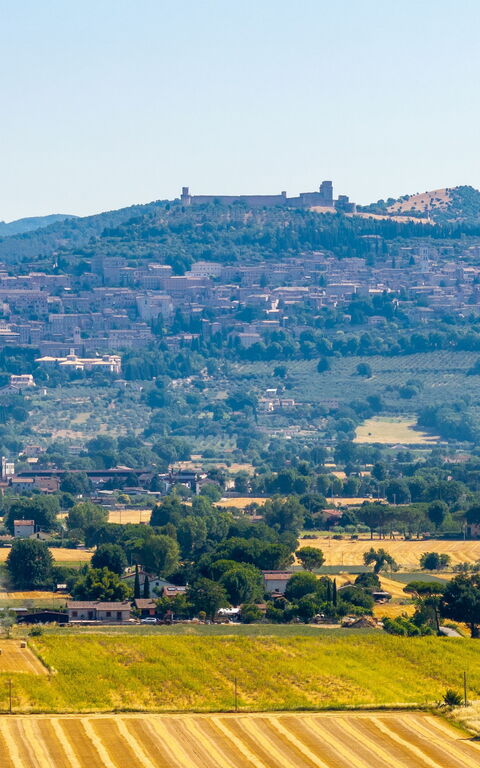Villa Assisi: Scenic View
