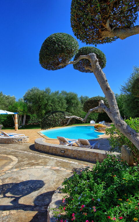 Lamia Santo Arcangelo: Garden, Pool