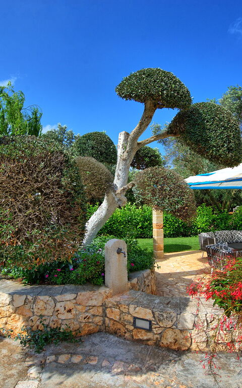 Lamia Santo Arcangelo: Garden, Outdoor