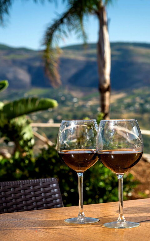 Villa Le Muse: Outdoor