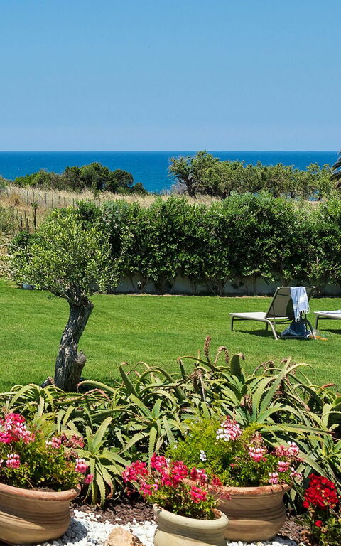 Villa Nettuno: Garden, Outdoor