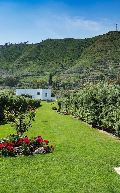 Villa Nettuno: Garden, Outdoor