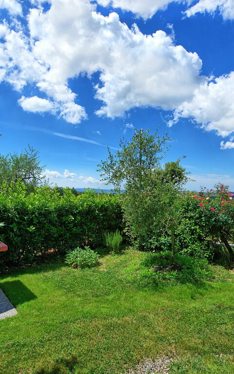 Villa Sonia: Outdoor