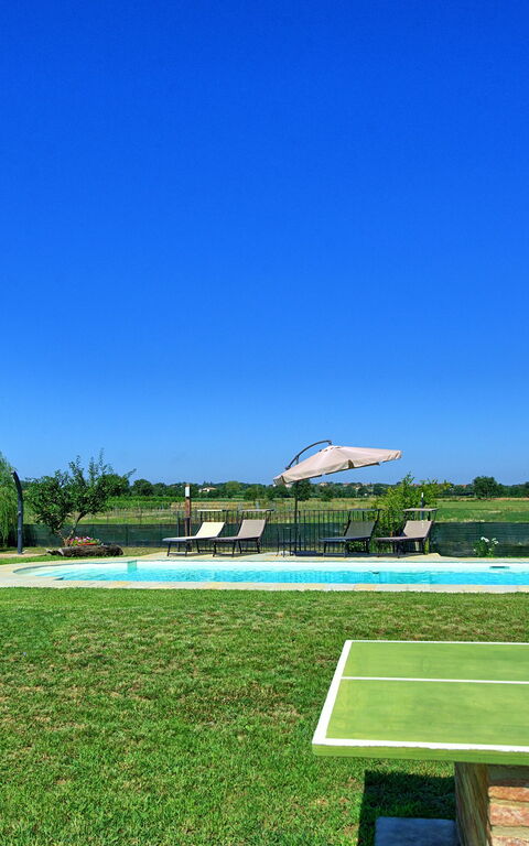 Casa Violina: Garden, Pool
