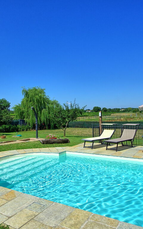 Casa Violina: Garden, Pool