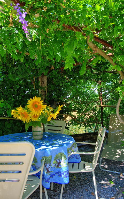 Casa Violina: Garden