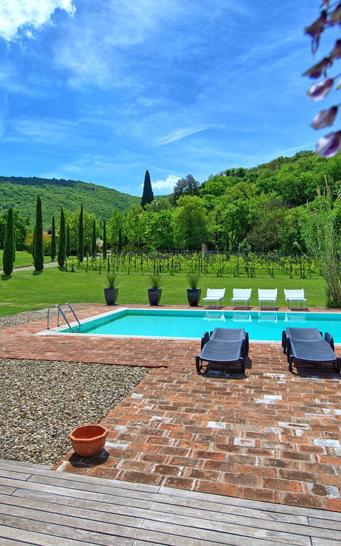 Villa Edo: Garden, Outdoor