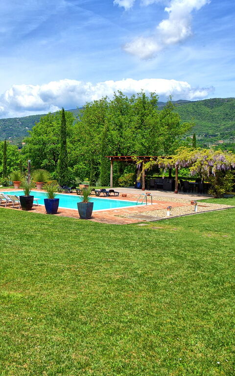 Villa Edo: Garden, Outdoor, Pool