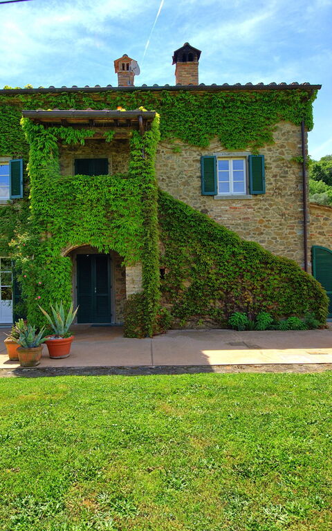 Villa Edo: Garden, Outdoor