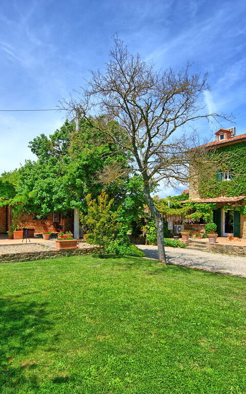 Villa Edo: Garden, Outdoor