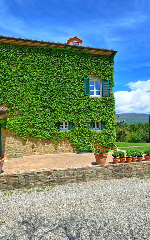 Villa Edo: Garden, Outdoor