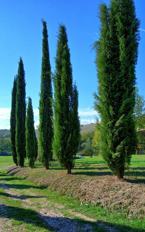 Villa Gualchiere: Main Entrance