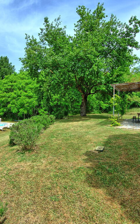 Villa Gualchiere: Garden, Outdoor, Pool