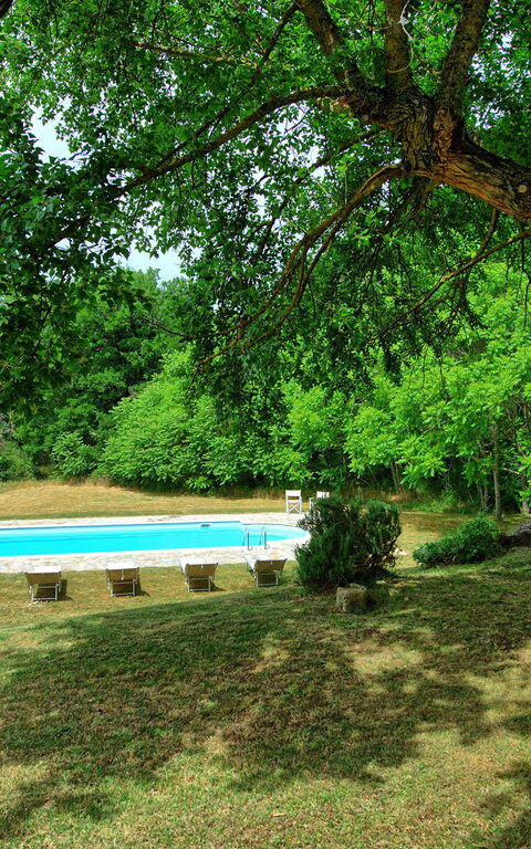Villa Gualchiere: Garden, Outdoor, Pool
