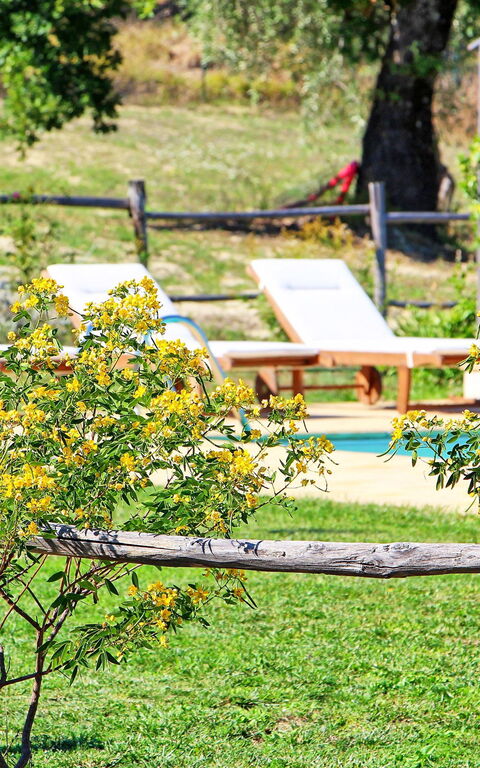 Villa Civita-Old: Garden