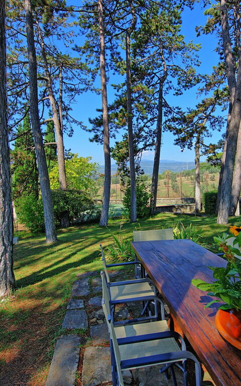 Villa Cuculo: Garden