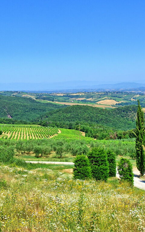 Villa Il Caggio: Outdoor, Scenic View, Summer