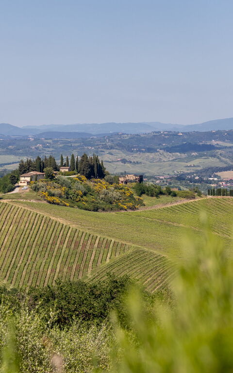 Villa Il Caggio: Scenic View