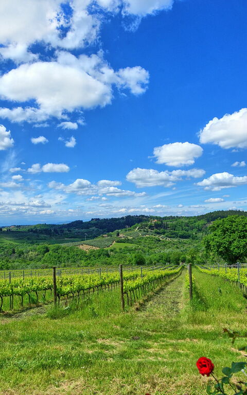 Maggiano: Scenic View