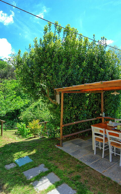 Casale Di Cozzile: Garden