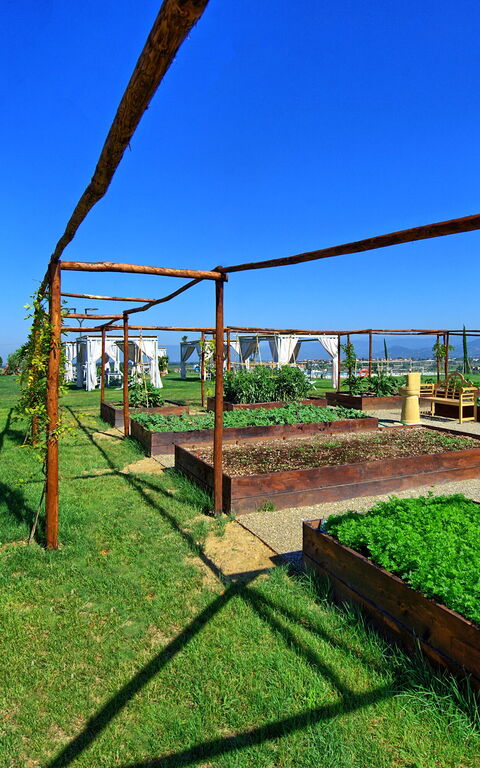 Il Sole Di Vino: Activities, Garden