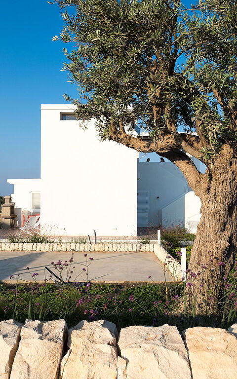 Villa San Lorenzo Palma: Garden, Outdoor