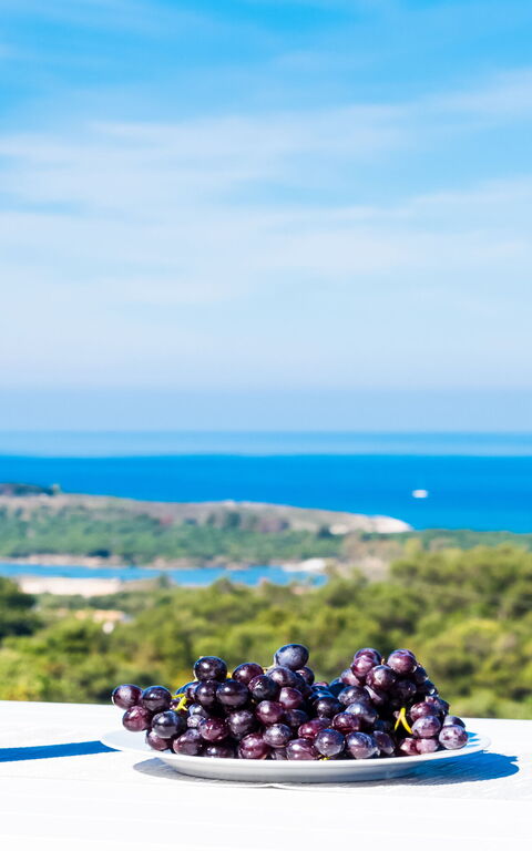 Villa Nafsika: Outdoor