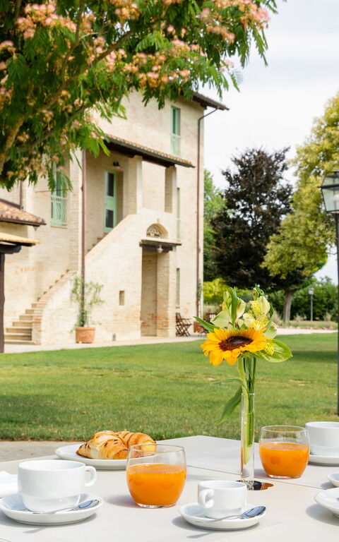 Villa Apollinare: Garden