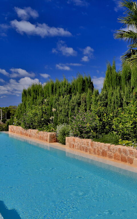 Cala Conta Dream: Pool