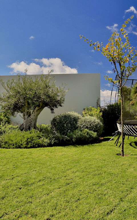 Cala Conta Dream: Garden, Outdoor