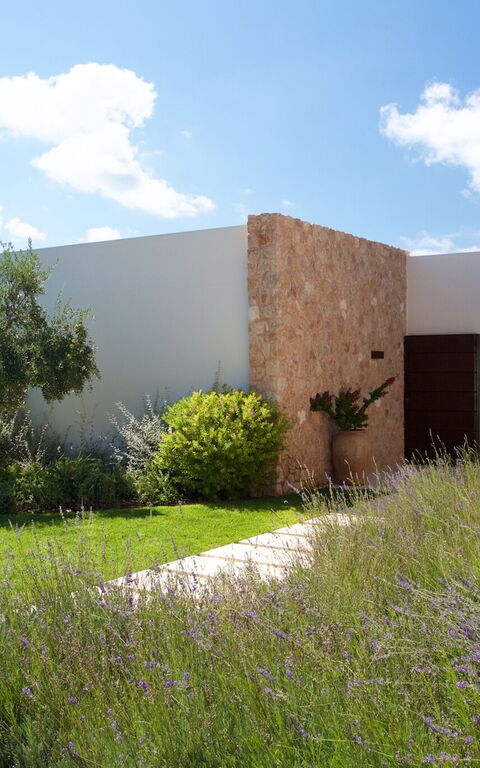 Cala Conta Dream: Garden, Outdoor