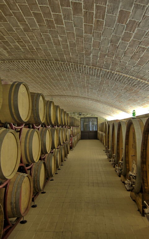 Villa Le Buche: Activities, Amenities