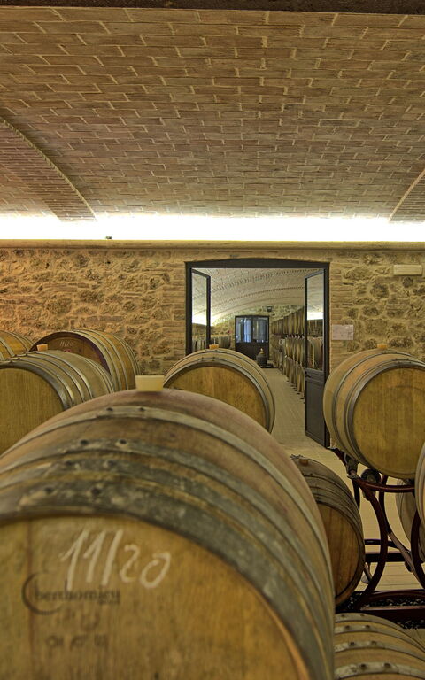 Villa Le Buche: Activities, Amenities