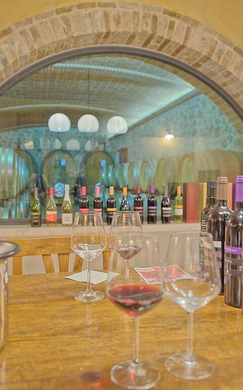 Villa Le Buche: Activities