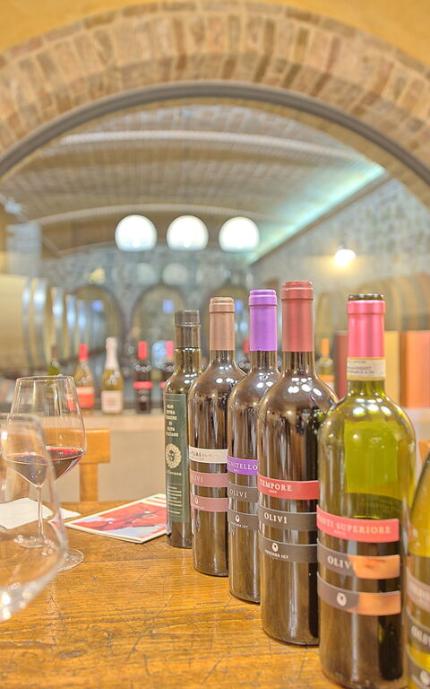 Villa Le Buche: Activities, Amenities