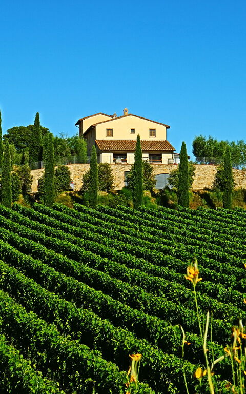 Villa Le Buche: Outdoor, Scenic View, Summer