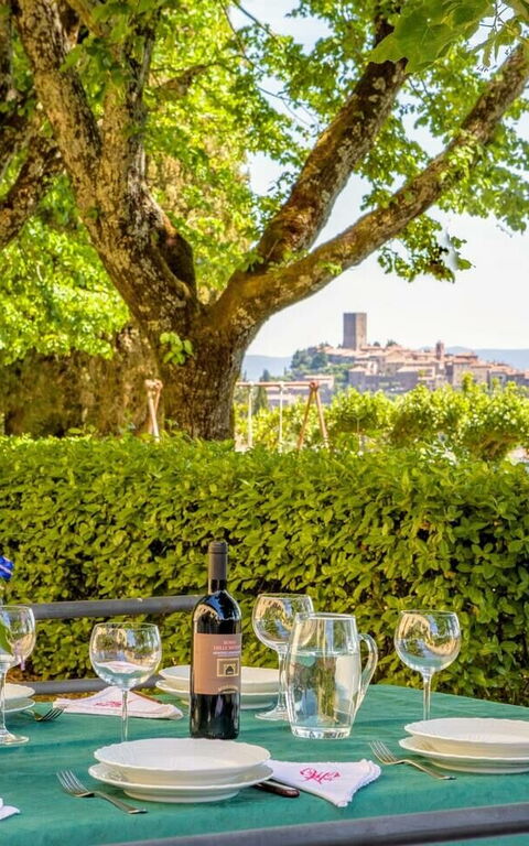 Villa Sorbaiano: Garden