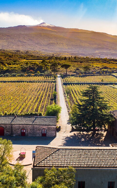 Etna Retreat: Outdoor, Scenic View