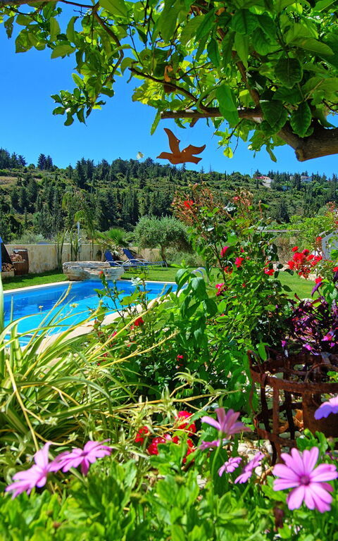 Villa Eftychia: Garden, Outdoor, Pool