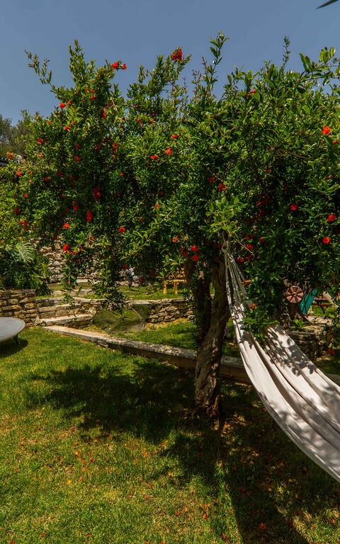 Villa Eftychia: Garden, Outdoor