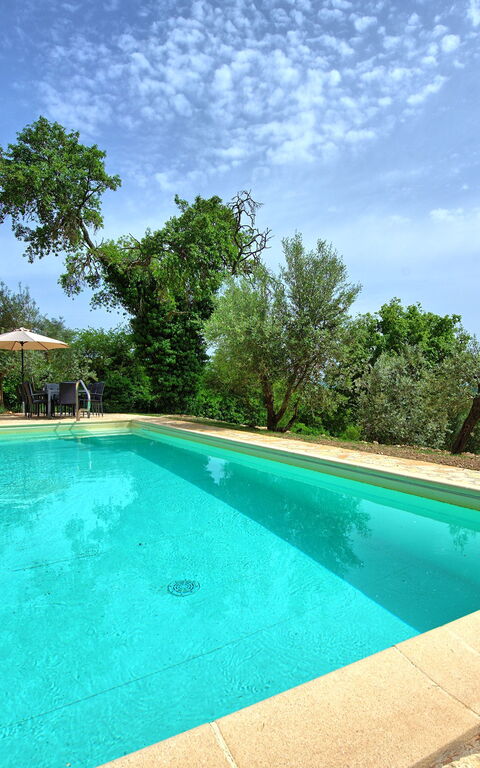 Villa Collina: Pool