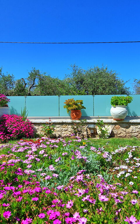 Villa Elaia: Garden, Outdoor