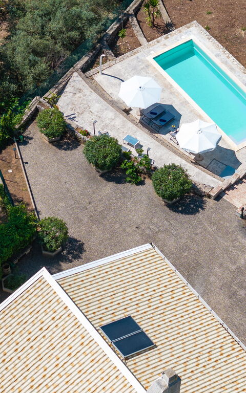 Nerodavola: Building Exterior, Outdoor, Pool